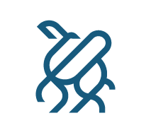 خطوة جمل logo