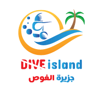 جزيرة الغوص logo