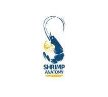 شرمب اناتومي logo